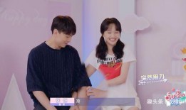 张铭恩郑爽最新爆料,揭秘娱乐圈背后的真相与纠葛