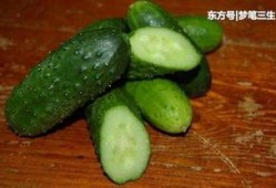 天津中医药大学网红吃瓜,揭秘天津中医药大学校园美食风云